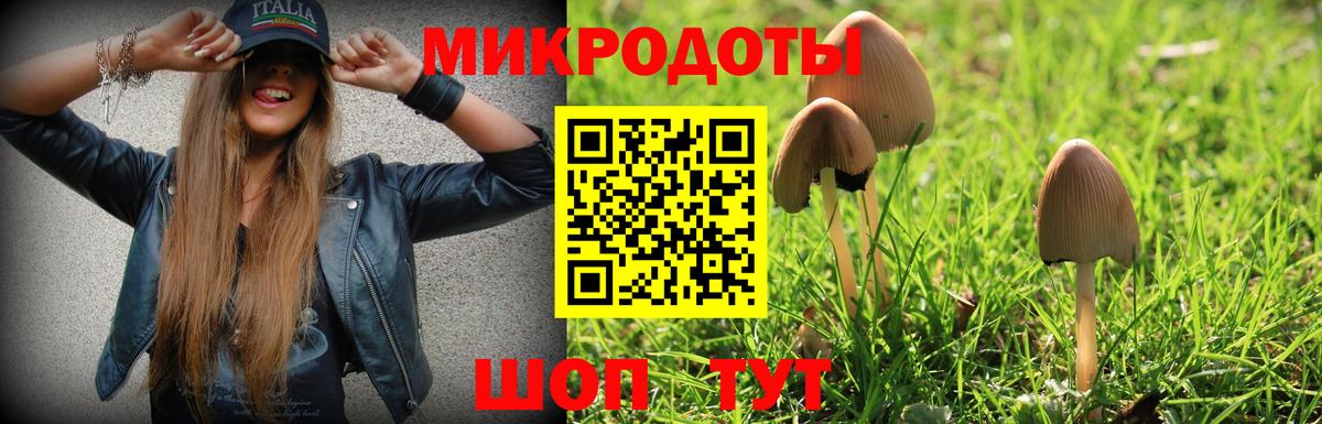 Псилоцибиновые грибы GOLDEN TEACHER Нижний Новгород