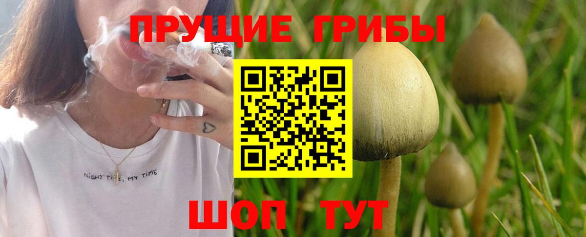 Нижний Новгород  Псилоцибиновые грибы Magic Shrooms  Вход с VPN  Псилоцибиновые грибы ЛСД 